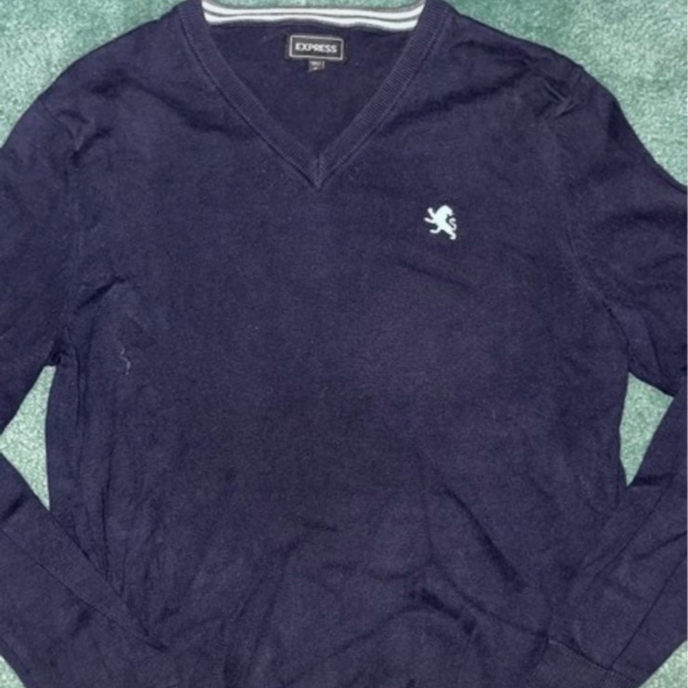 Express V Neck Sweater